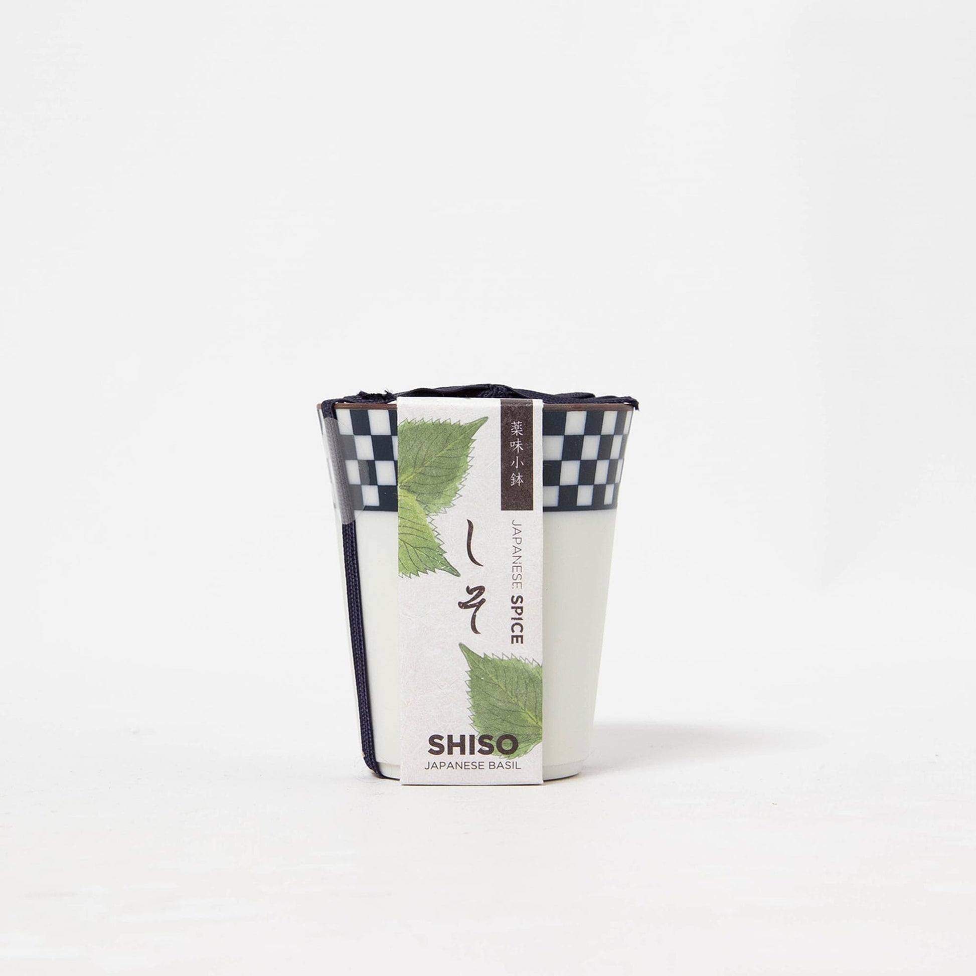 Yakumi: Japanese Spices - Shiso Growing Kit