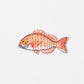 Iron On Patch - Sea Bream