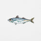 Iron On Patch - Sardine