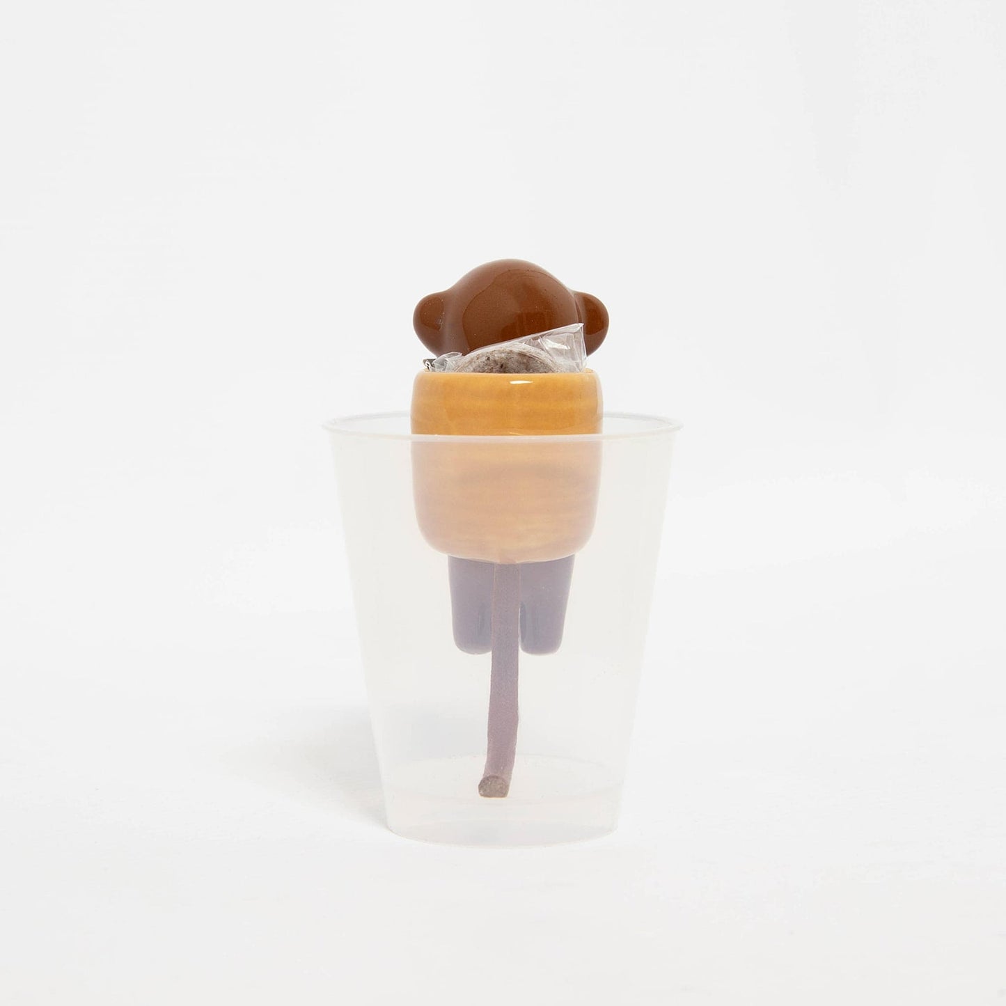 Shippon Monkey - Basil Growing Kit