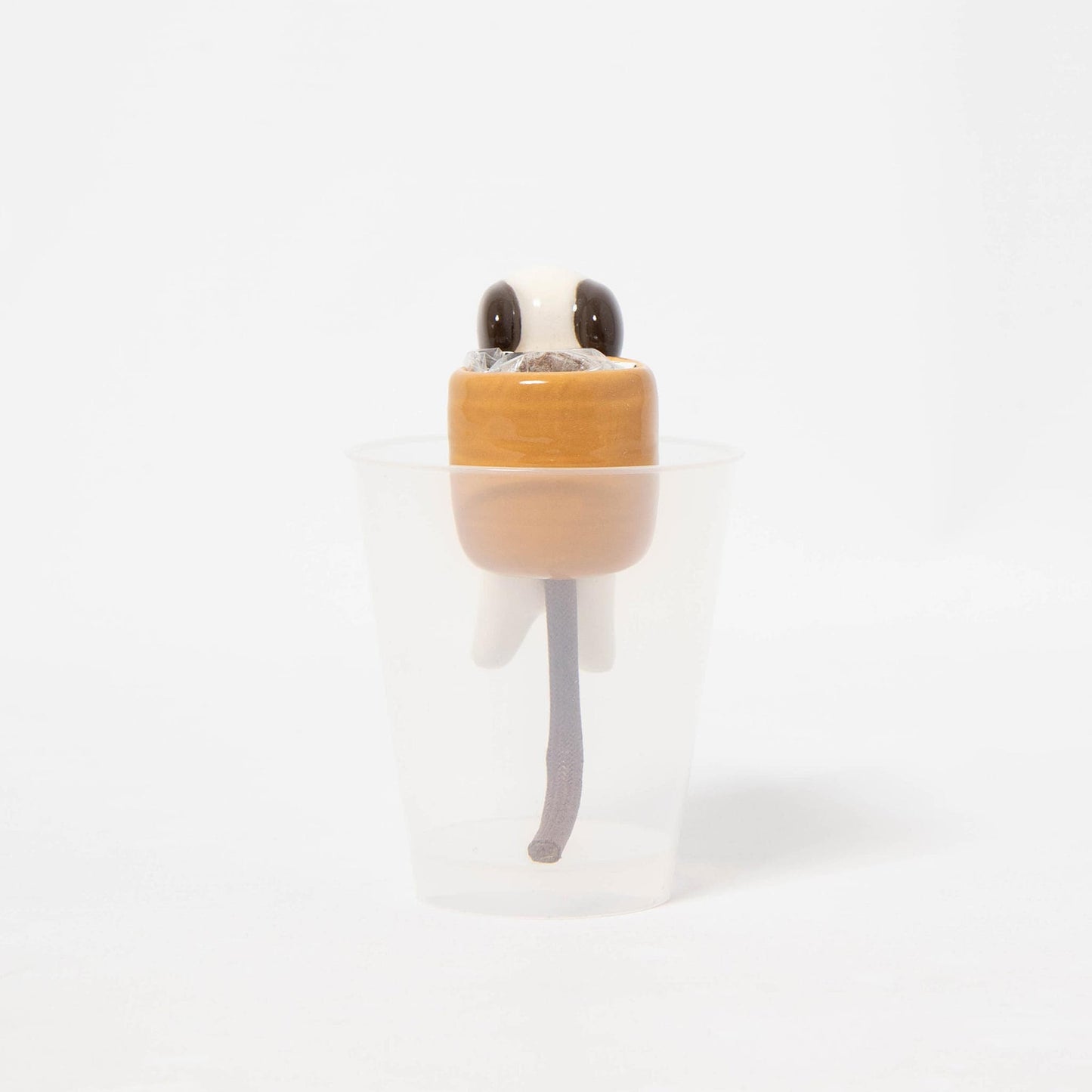 Shippon Dog - Clover Growing Kit
