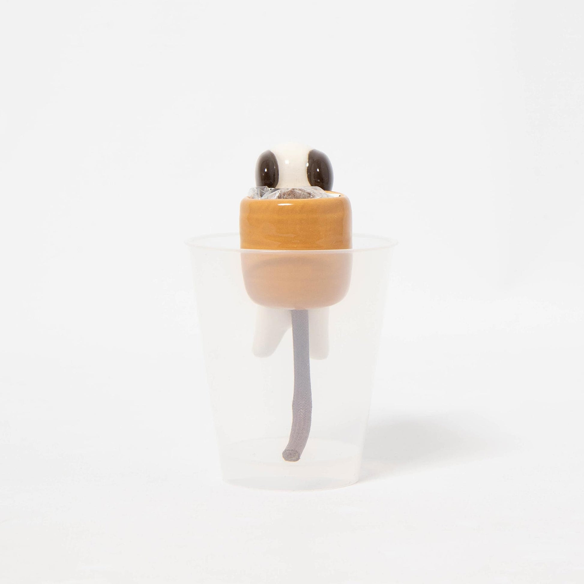 Shippon Dog - Clover Growing Kit