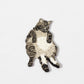 Iron On Patch - Cat Chubby