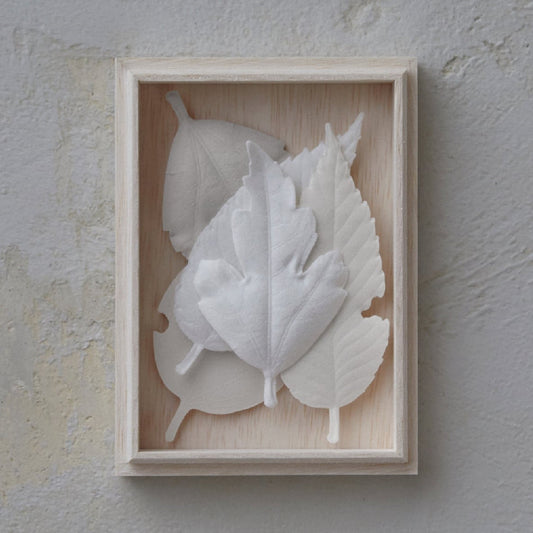 HAKO Box Set of 5 Paper Leaf Incense