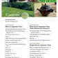 A Beginner's Guide to Japanese Tea by Per Oscar Brekell