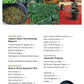 A Beginner's Guide to Japanese Tea by Per Oscar Brekell