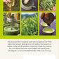 A Beginner's Guide to Japanese Tea by Per Oscar Brekell
